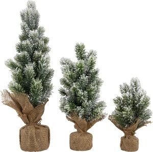 Christmas Decor Trends 2026 You Have To Try 81u8osvzlhl. ac sl1500