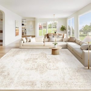 25 Luxury Living Room Ideas That Look Polished and Live Easy 81nrtxvghsl. ac sl1500